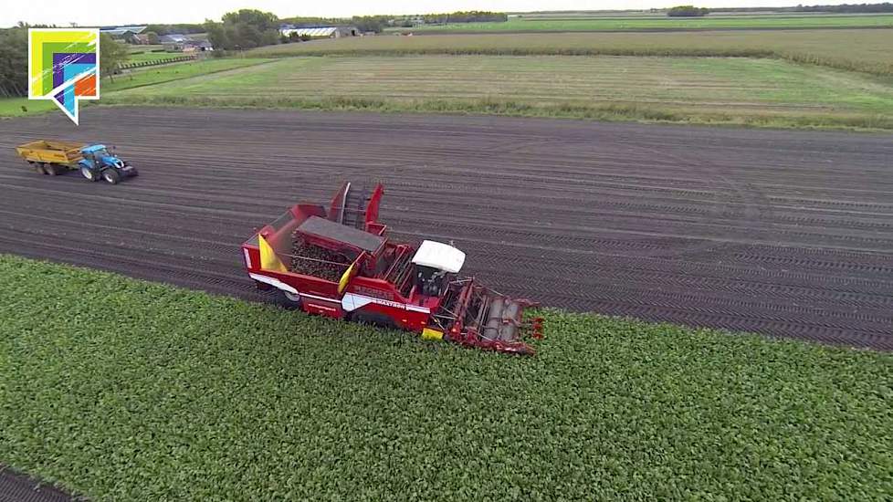 Bieten rooien gezien vanuit de lucht