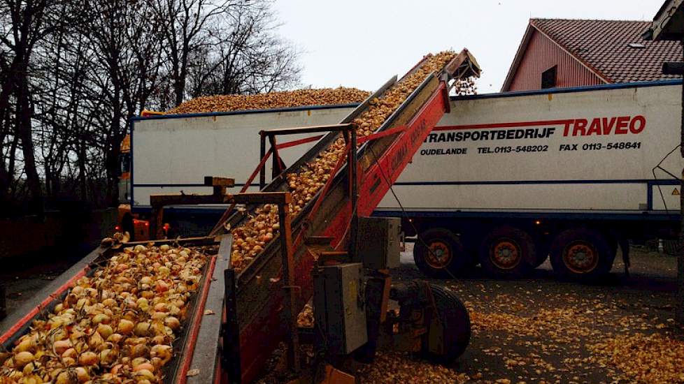 ... totdat het begint te regenen. Als de derde vrachtwagen klaar staat, moeten ze stoppen, omdat het te hard regent. Afnemer Marbo Onions wil niet dat de uien te nat worden.