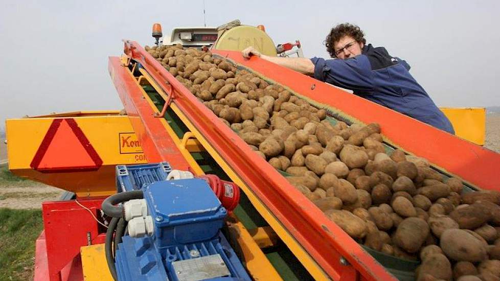 De Lange verdeelt de aardappelen over de band.