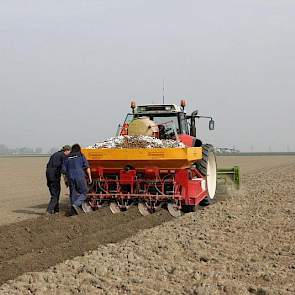 Maar het blijft controlewerk, aardappelen poten.