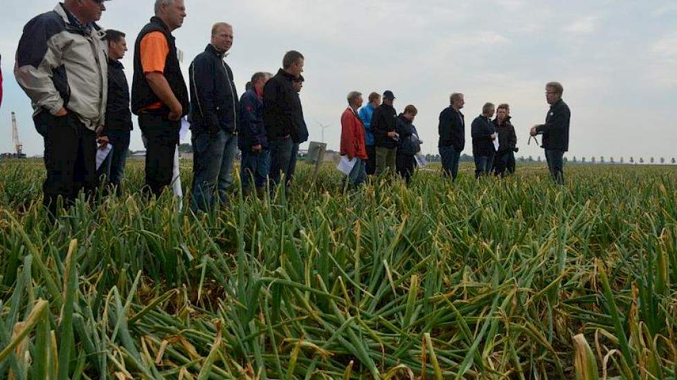 In kleine groepen worden de telers langs de vele proefvelden geleid.