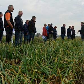 In kleine groepen worden de telers langs de vele proefvelden geleid.