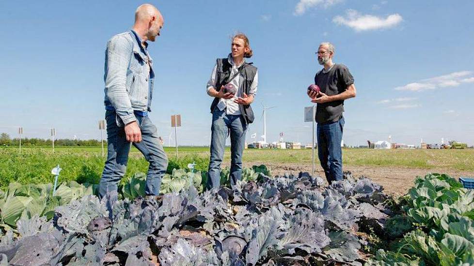 Demo van koolrassen, met projectleider Derk van Apeldoorn (midden)