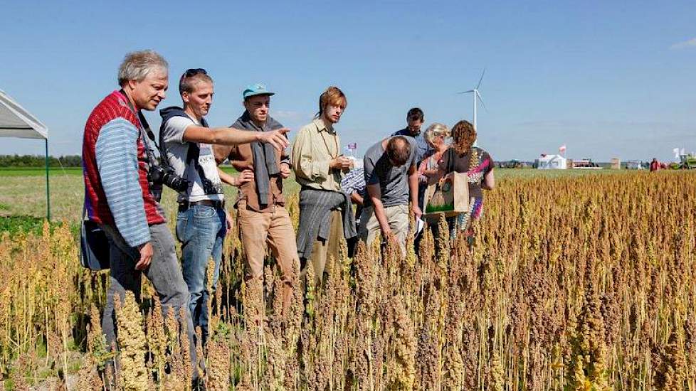 Op het demoveld lag onder meer een proef met twee soorten biologische quinoa.