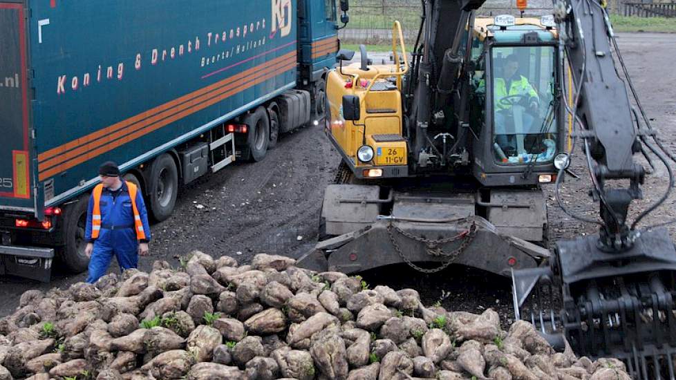 Hoiting schat de opbrengst van zijn bieten richting 95 tot 100 ton per hectare. ‘En daarmee schiet ik, net als vele collega's, fors over mijn referentie heen. In 2015 dus minder bieten zaaien’, aldus de Drentse akkerbouwer.