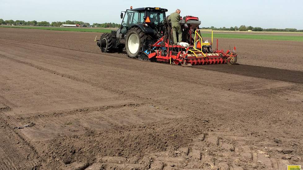 Op maandag 11 mei is het eerste perceel Parijse wortels gezaaid.