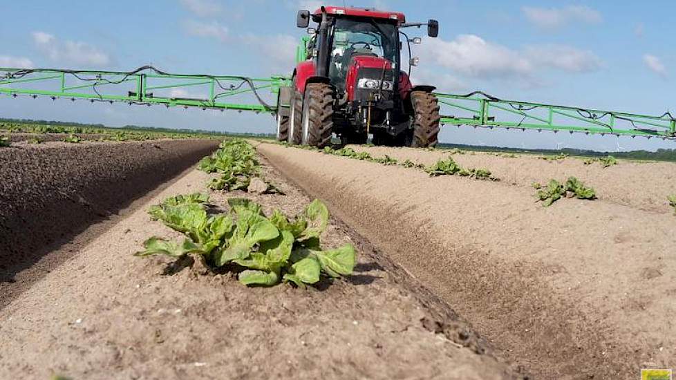 En terwijl zijn vader de opslagplanten in de bieten aanpakt, voert Erik Jan Rampen in de aardappelen de eerste bespuiting tegen phytophthora uit. ‘Ik heb vorig jaar dat op tijd beginnen veel ellende bespaart.’ De weersomstandigheden zijn gunstig voor de s