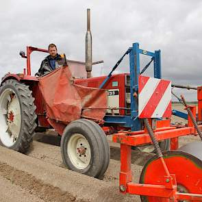 „Vorig jaar zaaide ik met dezelfde dichtheid en toen had ik er 90 tot 100 per meter staan. Maar dunner zaaien durf ik niet, want je weet nooit wat het groeiseizoen doet”, aldus peenteler Theo Bloo.