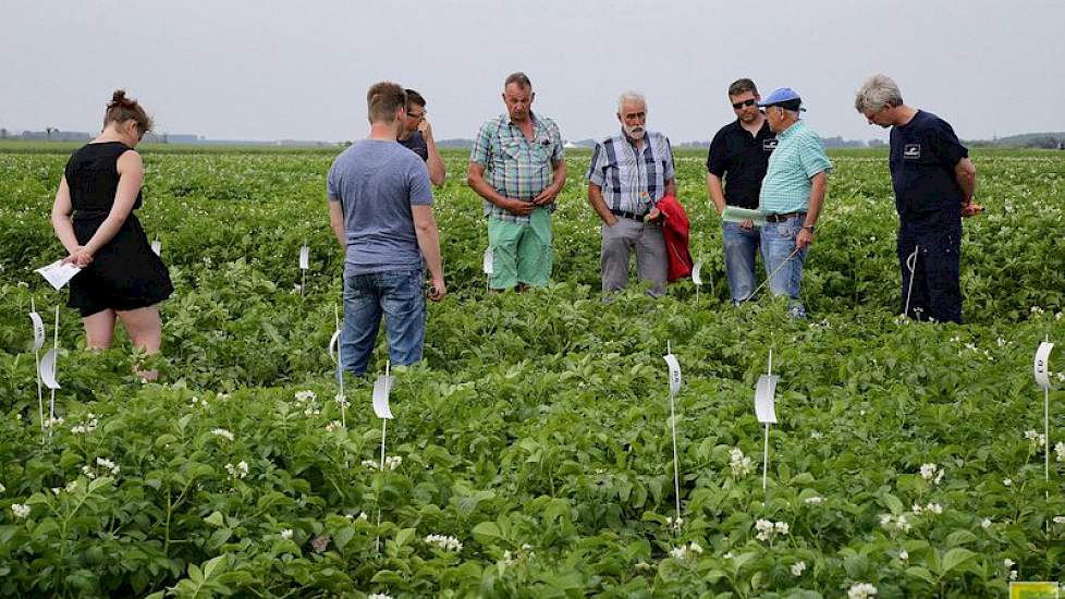 Volgens Thomas Pollema van proefbedrijf Kollumerwaard kwamen er dinsdag 250 tot 300 telers op de open dag van het bedrijf af.