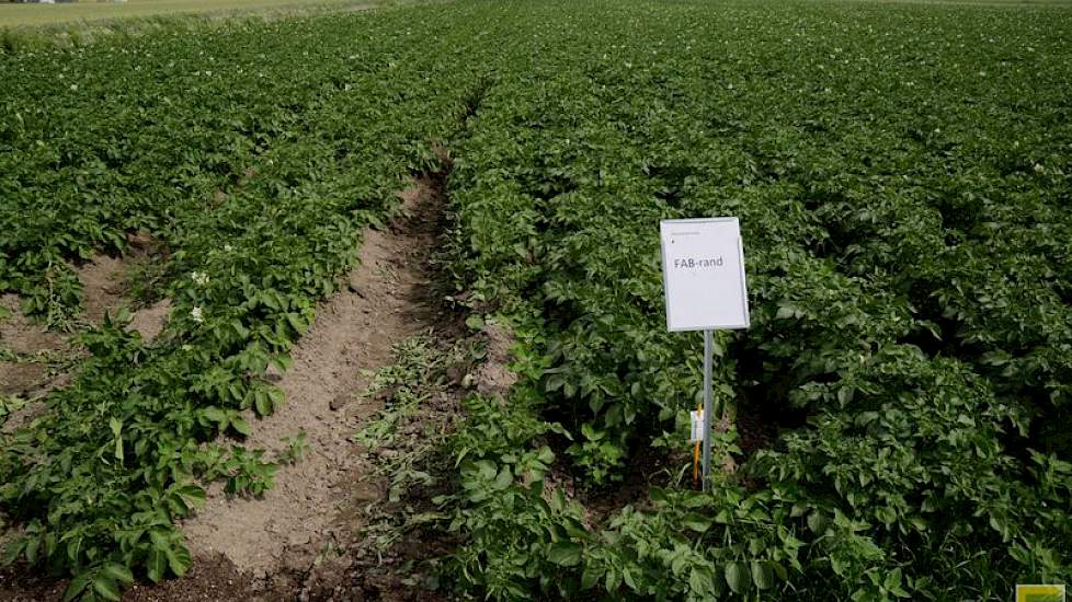 Functionele Agrarische Biodiversiteit draagt bij aan een systeem dat van zichzelf weerbaarder is tegen ziekten en plagen.