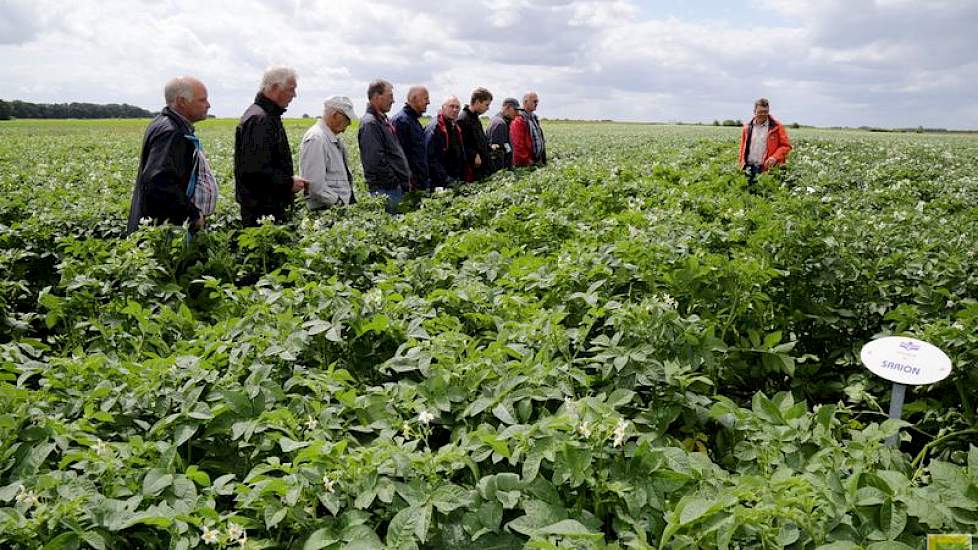 In het noorden hebben de gewassen minder last van de droogte gehad. Jarke Kruize meldt dat in het zuidwesten de stand minder goed is. „Een vroeg ras valt daar bijna om”, zag hij vorige week.