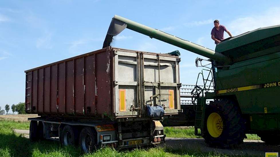 Het zaad is direct na de oogst afgevoerd met vrachtwagens.