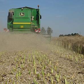 Het dorsen gebeurt met een John Deere 2058.