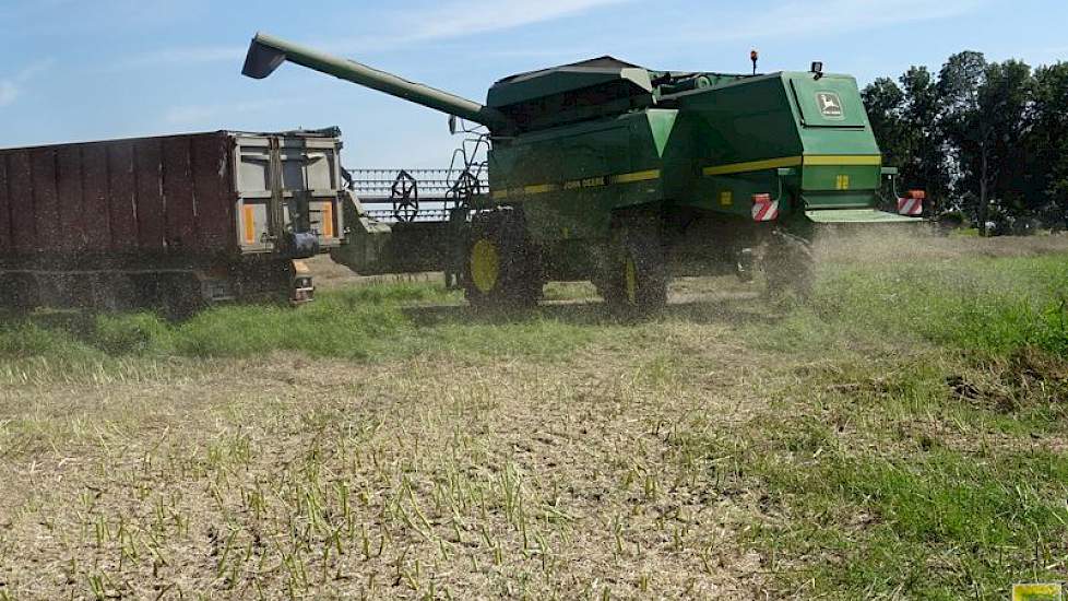 Klein heeft nog geen uitslag van de opbrengst, maar hij schat in dat hij 4 tot 4,5 ton per hectare heeft geoogst.