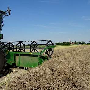 Akkerbouwer Timen Klein uit Usquert dorst zijn koolzaad.