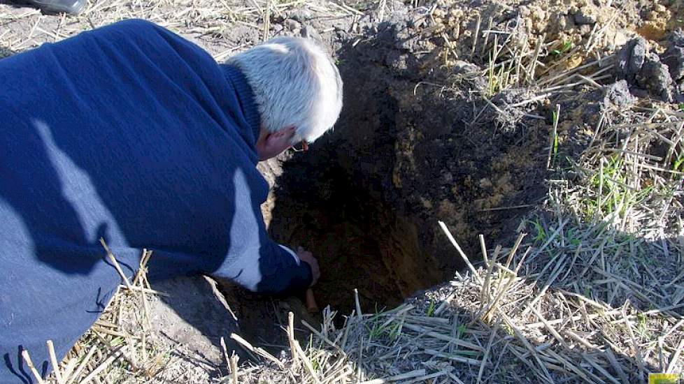 Aasman dook ook even in de grond om de dieper gelegen sponsstructuur en de ingespoelde humus te laten zien. De prachtige structuur van de eeuwenoude es moet de teler nooit kapot maken, benadrukt Aasman.