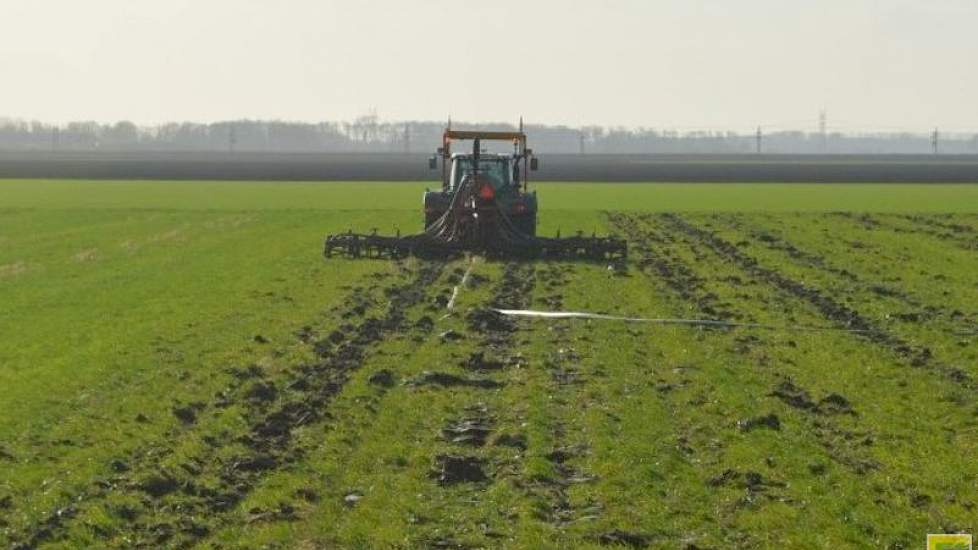 De mest wordt met een sleepslangculter uitgereden, waarmee de mest direct in de grond wordt gewerkt.