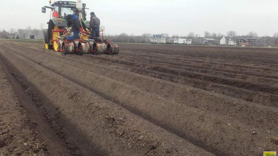 Hij zaait hier 4,5 hectare met het vroege ras Laguna. Het zaaien gebeurt door maatschap De Bruycker uit Dronten.