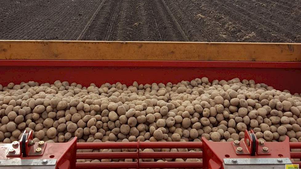 Als het maandag droog is, gaat Hoiting verder met het poten van aardappelen voor Avebe. De bieten zijn 22 maart gezaaid en ook het graan zit al in de grond.