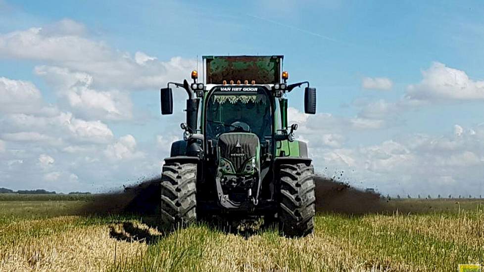 Bij het zaaien van de tarwe is rietzwenkgras meegezaaid. Deze aanpak bevalt de akkerbouwer uit Swifterbant goed. ‘Als de tarwe er af is, staat de groenbemester er al. Groenbemester zaaien nadat de tarwe is geoogst, valt wel eens tegen. En nu met de mest e