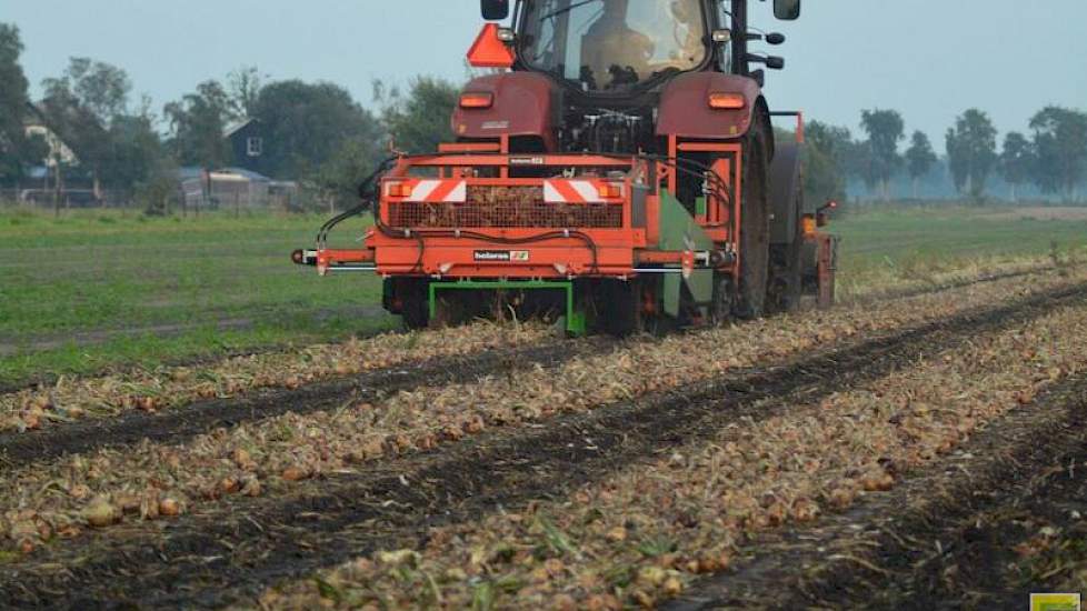 Otten hoopt de uien volgende week donderdag te laden.