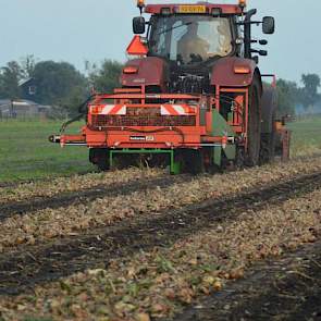 Otten hoopt de uien volgende week donderdag te laden.