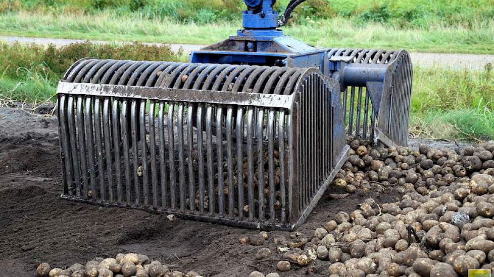 De fabriekers worden gelijk verwerkt. Weggemans heeft de precieze gegevens over opbrengst en onderwatergewicht nog niet. Hij verwacht dat het onderwatergewicht dit jaar bijzonder hoog is.