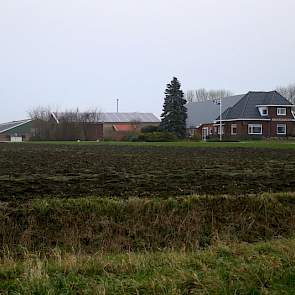 De boerderij van Van ’t Westeinde stamt uit 1960. In deze schuur staat de sorteermachine. Achter op het erf staan een aardappelschuur uit 1996, een pluimveestal uit 1997 en (niet zichtbaar op de foto) een schuur uit 2001.