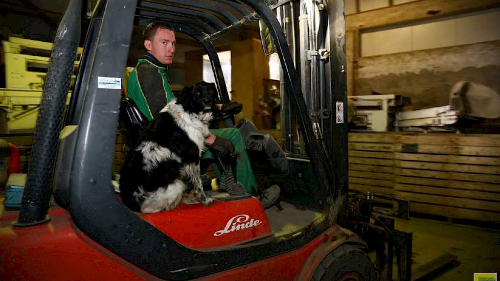 Peter Generaal, vaste medewerker van Van ’t Westeinde, verzorgt het transport van de kisten. De kisten met gesorteerde aardappelen gaan naar de mechanische koeling. Hond Sim is een trouwe metgezel. ‘Die is er altijd graag bij’, zegt Van ’t Westeinde.