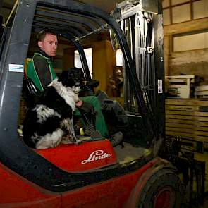 Peter Generaal, vaste medewerker van Van ’t Westeinde, verzorgt het transport van de kisten. De kisten met gesorteerde aardappelen gaan naar de mechanische koeling. Hond Sim is een trouwe metgezel. ‘Die is er altijd graag bij’, zegt Van ’t Westeinde.