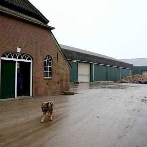 De boerderij en de oude schuur van Hegge stammen uit 1795. De schuur volledig rechts, nog net zichtbaar op de foto, is gebouwd in 1900. De loods, waarin ook de sorteermachine staat, kwam er bij in het jaar 2000. Deze schuur is voorzien van mechanische koe