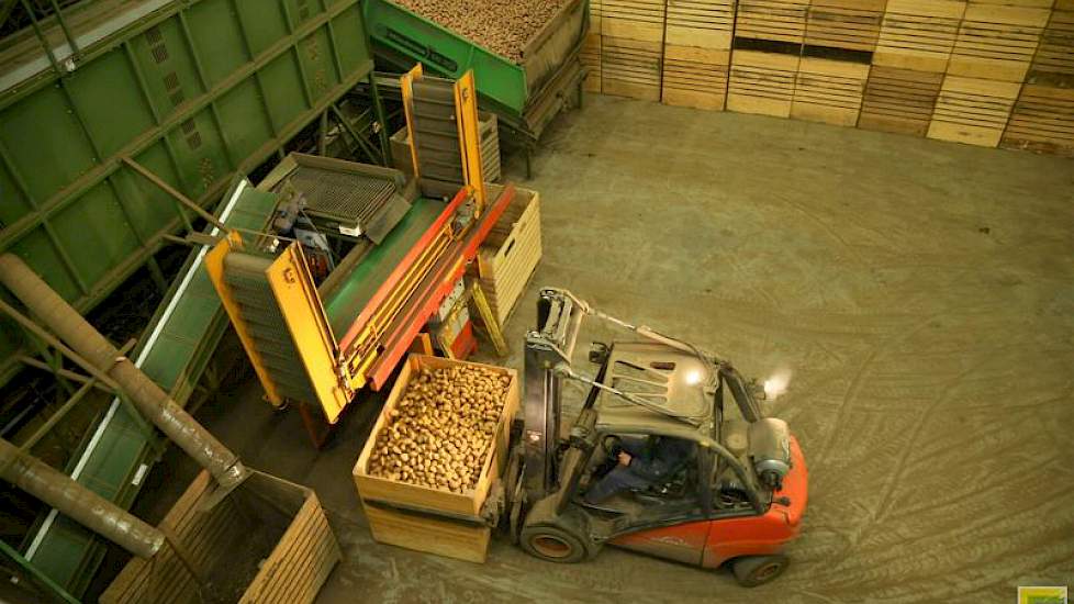 De aardappelen gaan na het lezen afhankelijk van hun bestemming weer terug in de kuubskist, zoals op deze foto, of worden opgezakt in zakken van 10, 25 of 50 kilo.