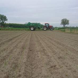 17 mei: Gesink heeft 0,5 liter wing P en 0,5 liter chlooripc gespoten. Het is volgens de teler nu zaak om de voorraad bodemherbicide voldoende op orde te hebben om nieuw onkruid minder kans te geven.