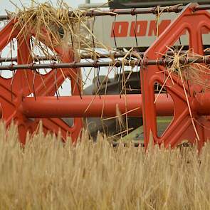 Het maaibord van deze combine is 5,5 meter breed.