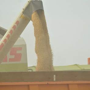 De akkerbouwer bracht de gerst zelf naar een graandepot van For Farmers in Odoorn.