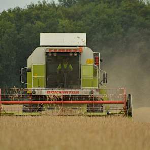 Loonwerker Albert Mantingh dorste de gerst van Oortwijn met een Claas Dominator Maxi uit circa 1995. Een doorsnee machine met een redelijke capaciteit, vindt Oortwijn.