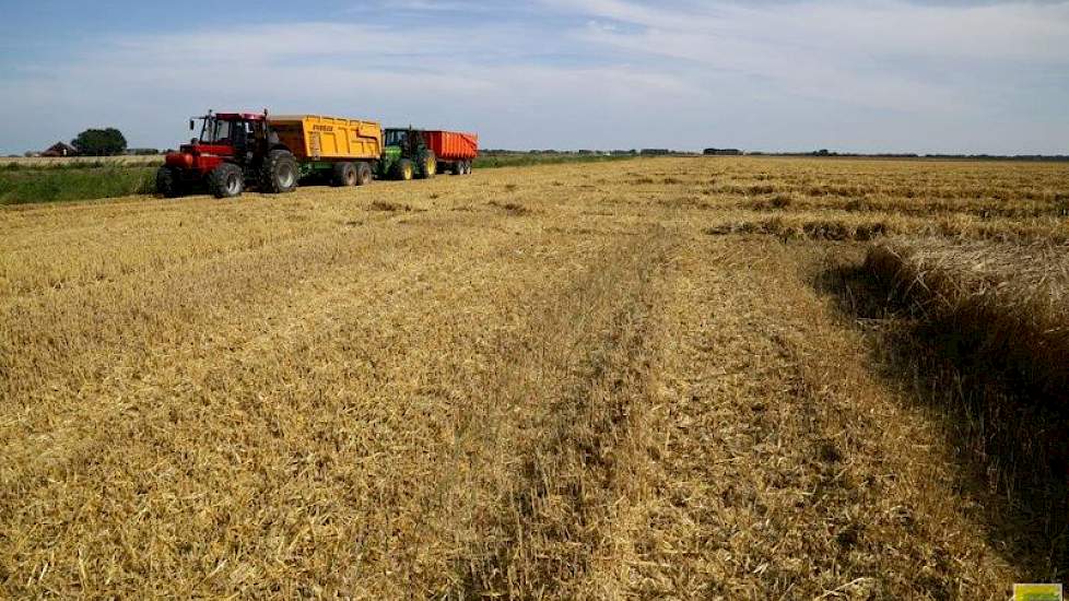 De gerst wordt na de oogst op het akkerbouwbedrijf van Waalkens opgeslagen. Als het nog te vochtig is, wordt het gedroogd. Dat was in dit geval niet nodig en de gerst kon dan ook direct in de silo's. Later dit jaar verkoopt Waalkens het graan via commissi