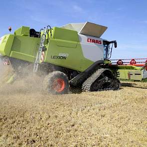 De combine rijdt op Soucy Tracks. 'De bodemdruk is dankzij deze rupsen veel lager dan met banden. Zo kan ik onnodige insporing voorkomen.' Ook twee trekkers van de akkerbouwer zijn voorzien van rupsen.