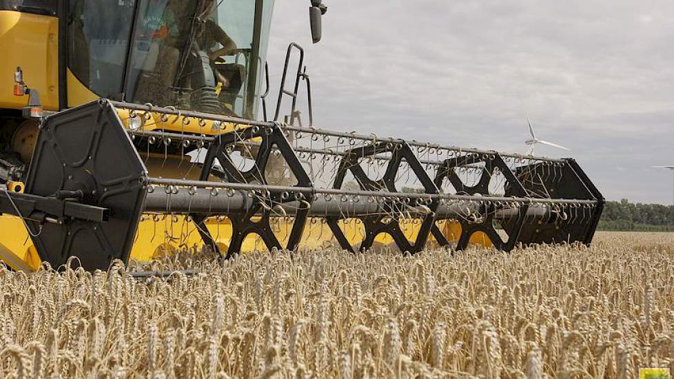 De combine heeft een bek van 6 meter breed. René Visser zegt dat hij ongeveer 2,5 hectare per uur kan doen. Dat komt neer op 25 tot 30 ton tarwe in deze regio. „Hier was de opbrengst redelijk tot goed. Hij ging wel over de 10 ton per hectare”, zegt Visser