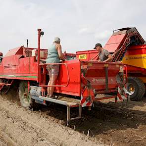 Achter op de rooier staan echtgenote Jozé van Dijke en schoonzoon Corné Hack. Deze richten zich vooral op het verwijderen van de moederknollen. ‘De aardappelen zitten dieper dit jaar, waardoor de rooier meer werk moet verzetten. Hierdoor duurt het ook lan