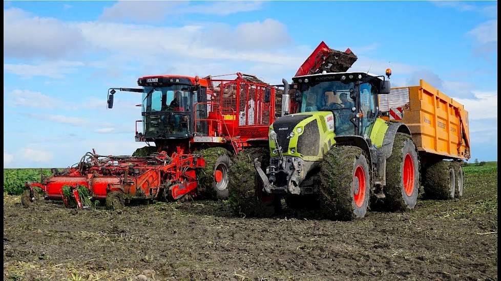 Bietenoogst 2017 met HOLMER Terra Dos T2 Landb. Westerhof.