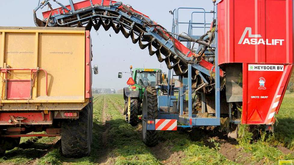 Met drie kippers wordt de oogst naar het erf gereden