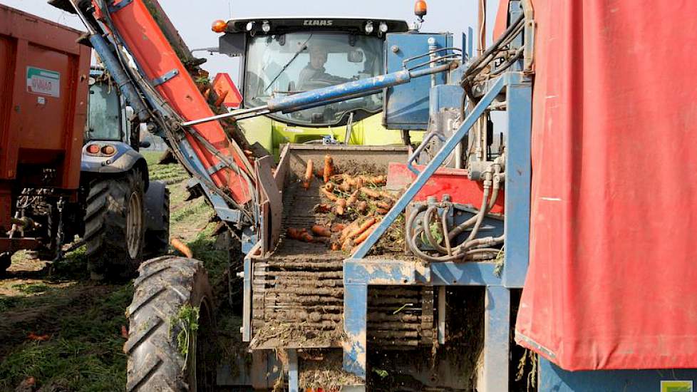 Ook de stadsboerderij beschikt over een Asalift peenrooier