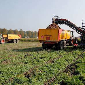 Het perceel is 10 hectare groot