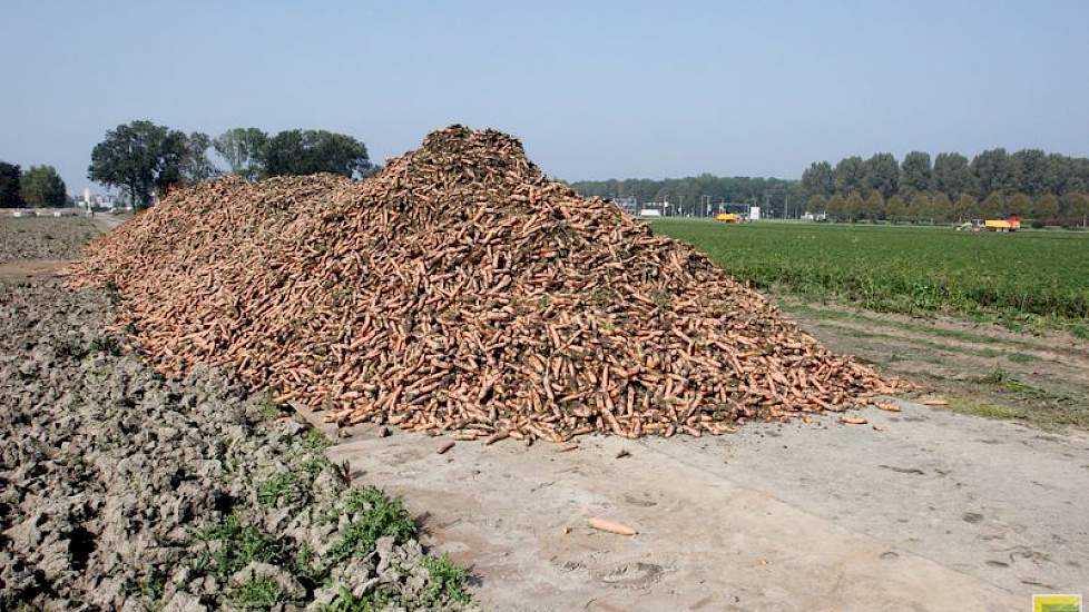 Maar omdat het erf te klein is om alle peen te bergen, wordt de peen deels op een kavelpad gestort