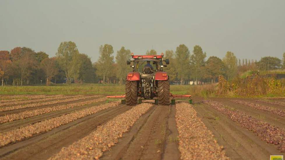 'Normaal gesproken hadden we ze na een week geladen, maar door de vele regen konden we er niet bij', zegt Haaijer.