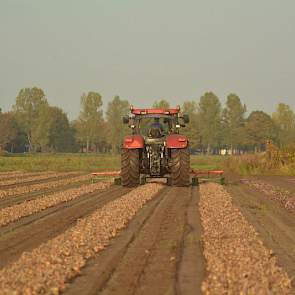 'Normaal gesproken hadden we ze na een week geladen, maar door de vele regen konden we er niet bij', zegt Haaijer.