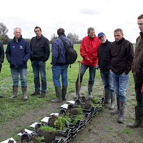 Ook bespreken de akkerbouwers de verkruimeling en hoe het zaaibed na de verschillende groenbemesters is voor het volgende gewas. Ook onder meer de invloed van deze bemesters op fosfaat en kali wordt nog onderzocht. Uiterst rechts op de foto Wiepie Haagsma