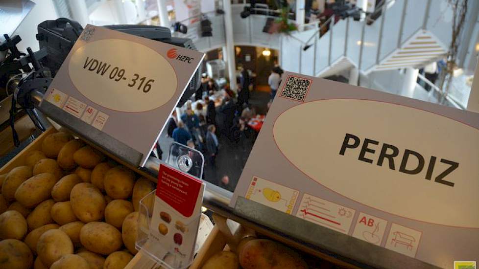 Handelshuis HZPC toont zijn nieuwe rassen al een aantal jaren in het trappenhuis van het kantoor in Joure. HZPC hanteert als lijfspreuk Feeding the world. 'Met het leveren van goed pootgoed kunnen we in veel landen de opbrengsten verhogen of soms zelfs ve