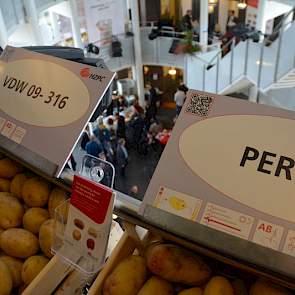 Handelshuis HZPC toont zijn nieuwe rassen al een aantal jaren in het trappenhuis van het kantoor in Joure. HZPC hanteert als lijfspreuk Feeding the world. 'Met het leveren van goed pootgoed kunnen we in veel landen de opbrengsten verhogen of soms zelfs ve